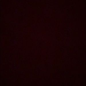 Meet your Posher, Bryce